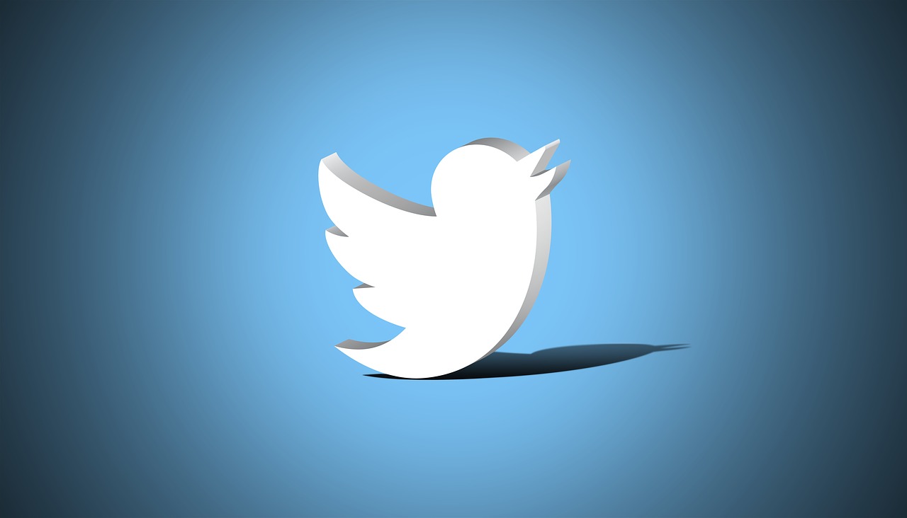Twitter звернувся до суду, щоб знайти того, хто виклав вихідний код соцмережі у відкритий доступ