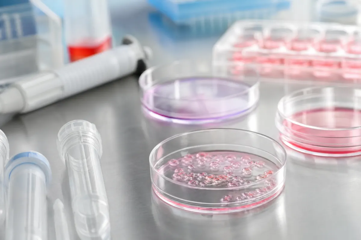 У Nature представили інгібітор METTL1 проти моделей раку
