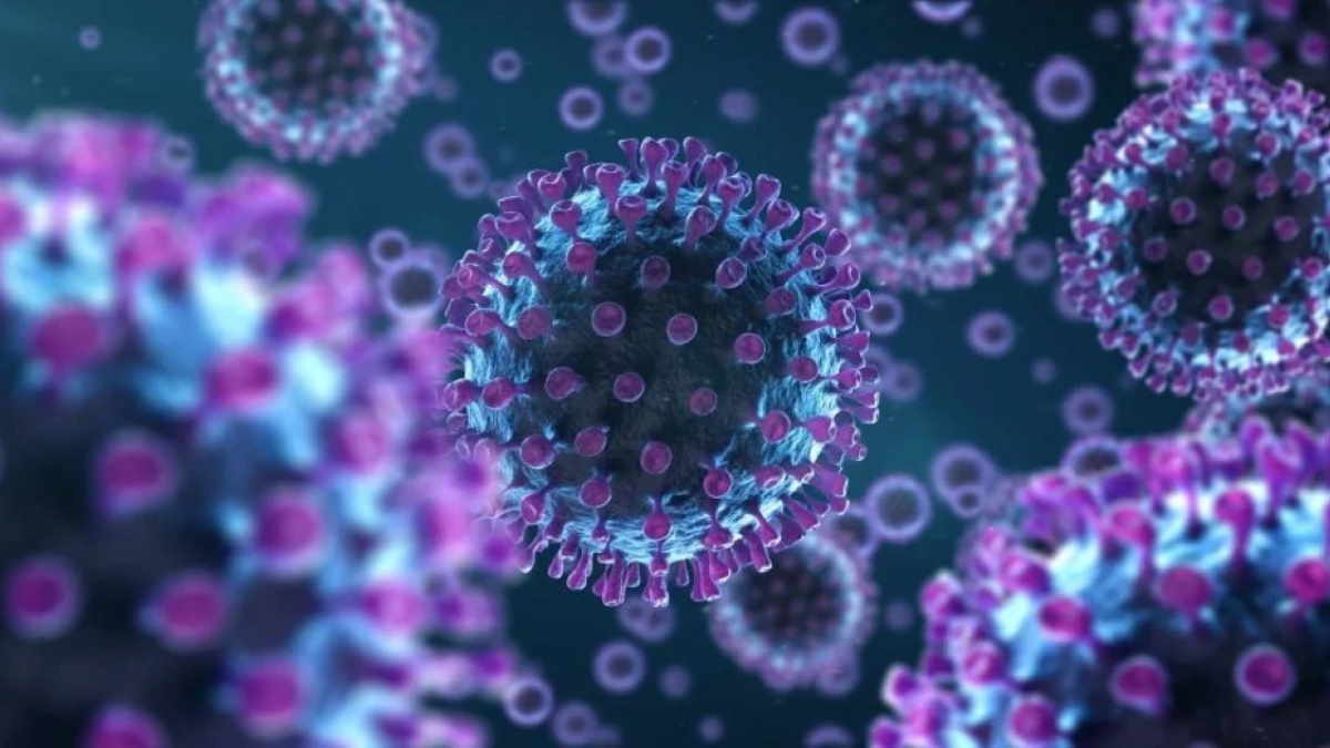 Учені з’ясували, яка вакцина дає більше антитіл: Pfizer чи Moderna