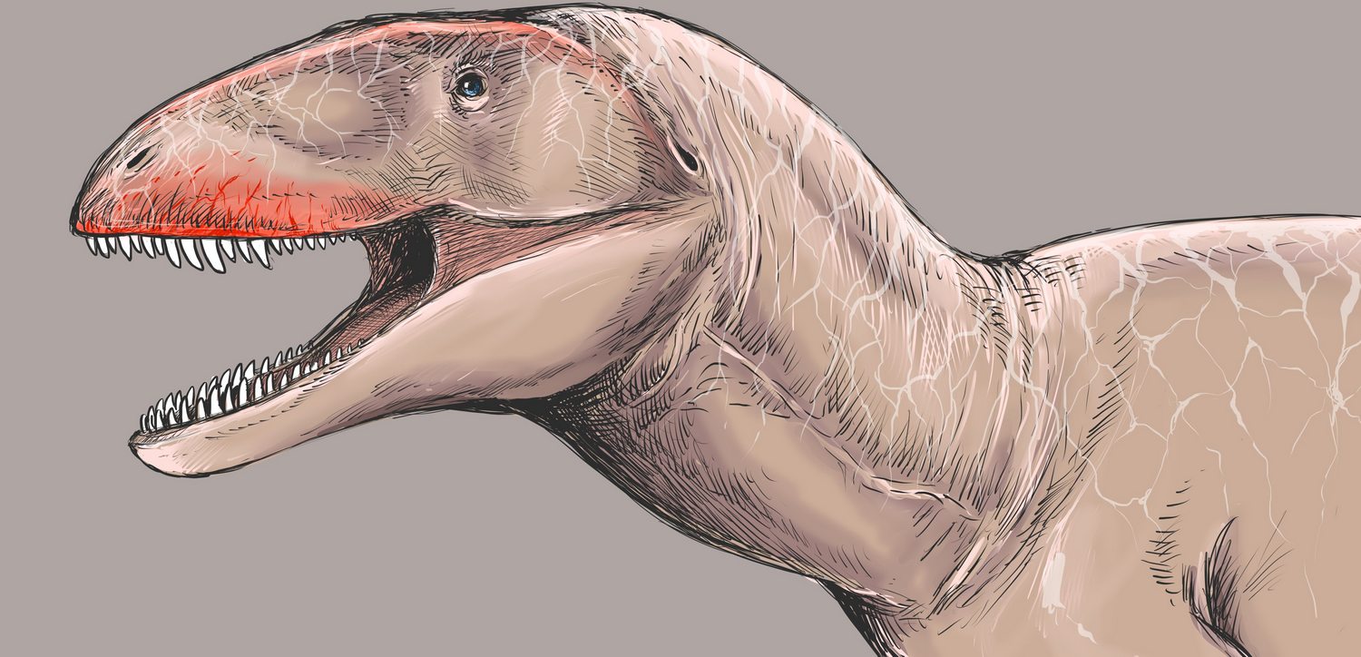 В Узбекистані знайшли останки гігантського хижого динозавра з акулячими зубами